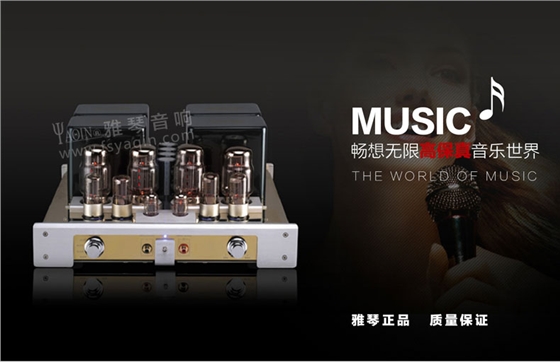 膽機(jī)功放,HI-FI膽機(jī),CD播放器,膽機(jī)生產(chǎn)廠家,雅琴音響