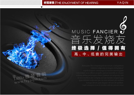 膽機功放,HI-FI膽機,CD播放器,膽機生產(chǎn)廠家,雅琴音響