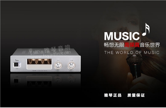 膽機(jī)功放,HI-FI膽機(jī),CD播放器,膽機(jī)生產(chǎn)廠家,雅琴音響