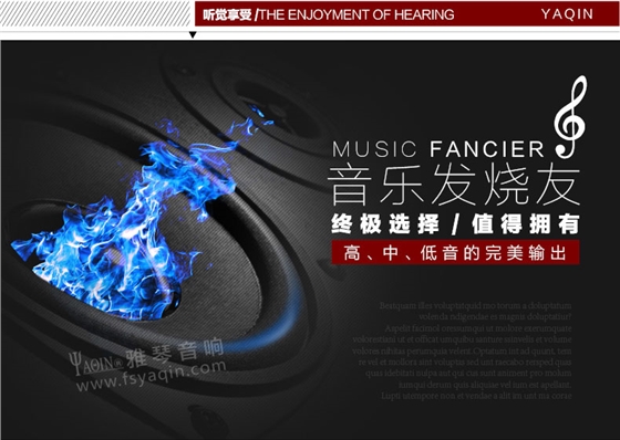 膽機功放,HI-FI膽機,CD播放器,膽機生產(chǎn)廠家,雅琴音響,雅琴MC-5881A