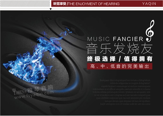 膽機功放,HI-FI膽機,CD播放器,膽機生產(chǎn)廠家,雅琴音響,雅琴MS-2A3