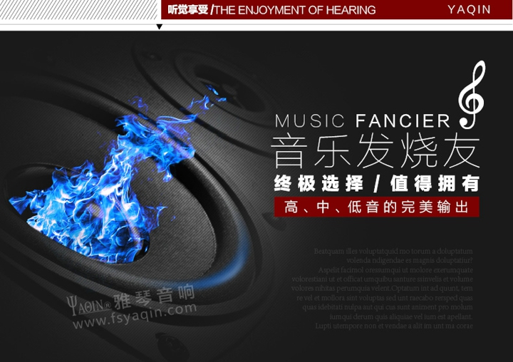 膽機(jī)功放,HI-FI膽機(jī),CD播放器,膽機(jī)生產(chǎn)廠家,雅琴音響