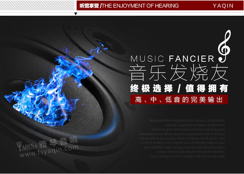 膽機(jī)功放,HI-FI膽機(jī),CD播放器,膽機(jī)生產(chǎn)廠家,雅琴音響