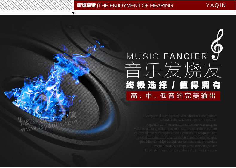 膽機(jī)功放,HI-FI膽機(jī),CD播放器,膽機(jī)生產(chǎn)廠家,雅琴音響