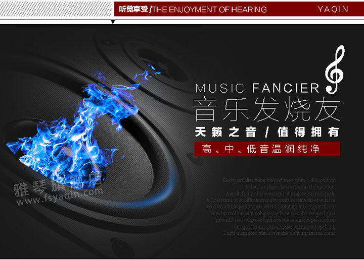 膽機功放,HI-FI膽機,CD播放器,膽機生產(chǎn)廠家,雅琴音響