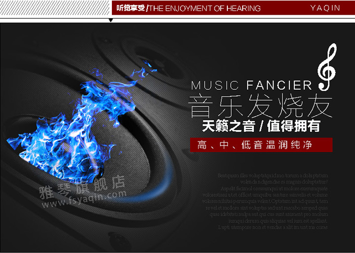 膽機功放,HI-FI膽機,CD播放器,膽機生產(chǎn)廠家,雅琴音響,雅琴MS-110B