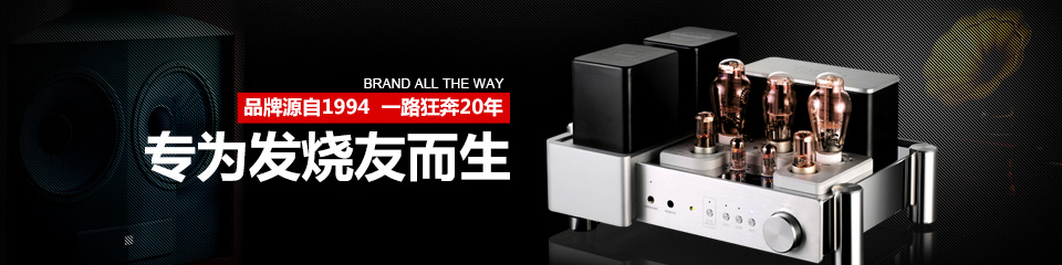 電子管膽機(jī)功放