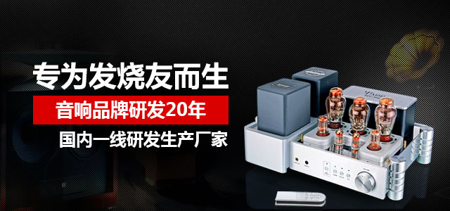 雅琴 專為發(fā)燒友而生